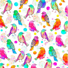 Songbird Multi Color Birds on White