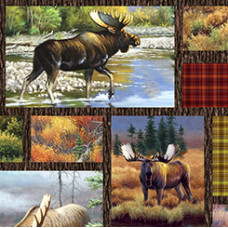 Magnificent Moose Patches