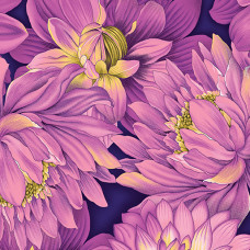 Flower Festival 2 Dahlia Purple