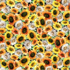 Sunflower Garden