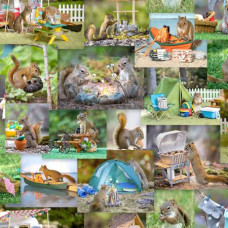 The Secret Life of Squirrels Collage Bright