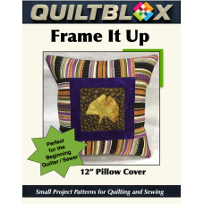 Frame It Up Pillow Cover