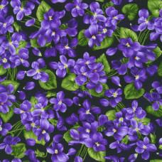 Viola Violets on Midnight Purple