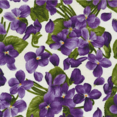 Viola Violets on Vintage White