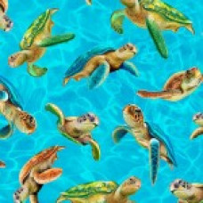 Turtle Recall Aqua