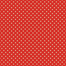 Snazzy Squares Red/Linen