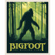 Big Foot Panel