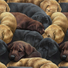 For the Love of Labs Packed Labs