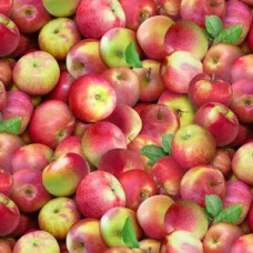 Apples