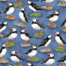 Puffins on Blue