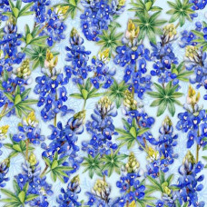 Bluebonnets/Lupines on Blue