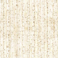 Aurora Tree Bark Stripe