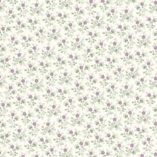 Vivienne Cream Poppies 108"