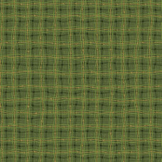 Autumn Breeze Rambling Plaid Green