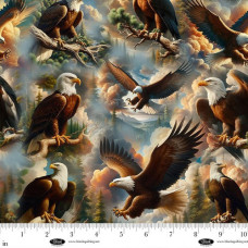 Wilderness Song Eagles