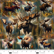 Wilderness Song Moose