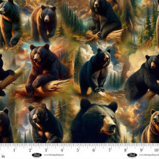 Wilderness Song Bears