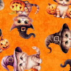 QT Cuties Halloween Kittens on Orange