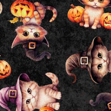QT Cuties Halloween Kittens on Black