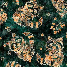 Wild Wood Raccoons Evergreen