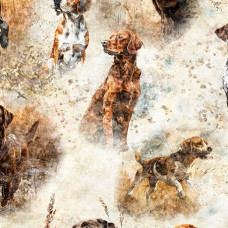 Forest, Field, and Stream Hunting Dogs