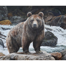 Majestic in Nature Bear Panel