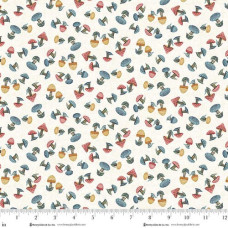 Norwegian Forest Mushrooms