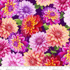 Blissful Blooms Dahlias