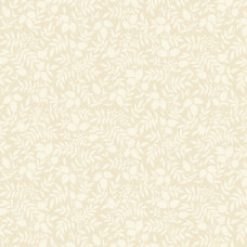 Just Rosy Floral Silouette Ivory
