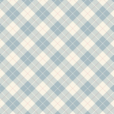 Just Rosy Plaid Sky