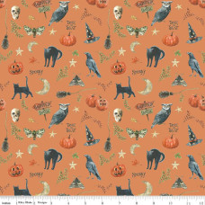 Trick or Treat Spooky Orange