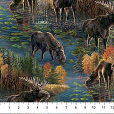 Autumn Woodland Scenic Moose
