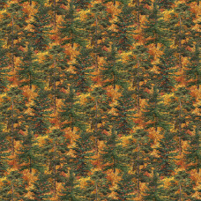 Autumn Woodland Trees