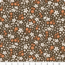 Winged Medley Petals Brown Winged Medley Petals Brown