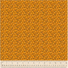 Circa: Sharp Cheddar, Flourish, Turmeric