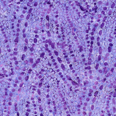 Plumberry Floating Dots Grape Batik