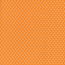 Bee Basics Tiny Daisy Macaroni