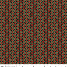 Northern Christmas Stars Black