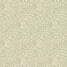 Wild Flowers Smithsonian Flower Fields Sage