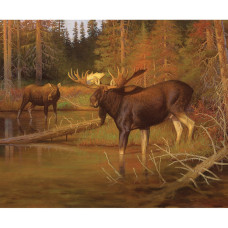 Majestic in Nature Moose Panel