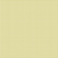 Timeless Stitches Gingham Green