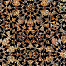 Paradox Mandalas on Black