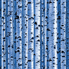 Winter Birch Slate Blue